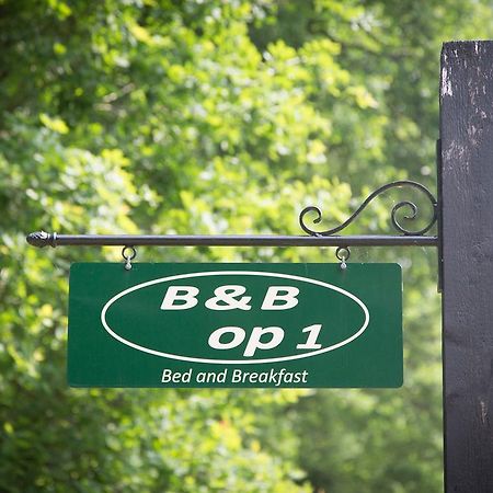 Bed & Breakfast Orvelte Exterior foto