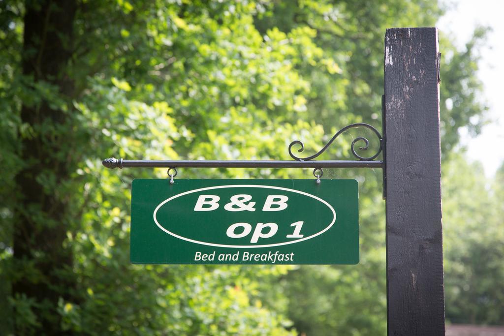 Bed & Breakfast Orvelte Exterior foto